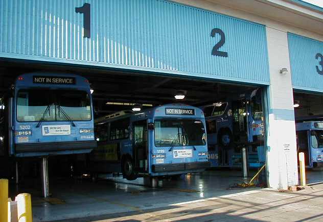 Santa Monica Big Blue Bus MCI Classic 5199 & 5202
